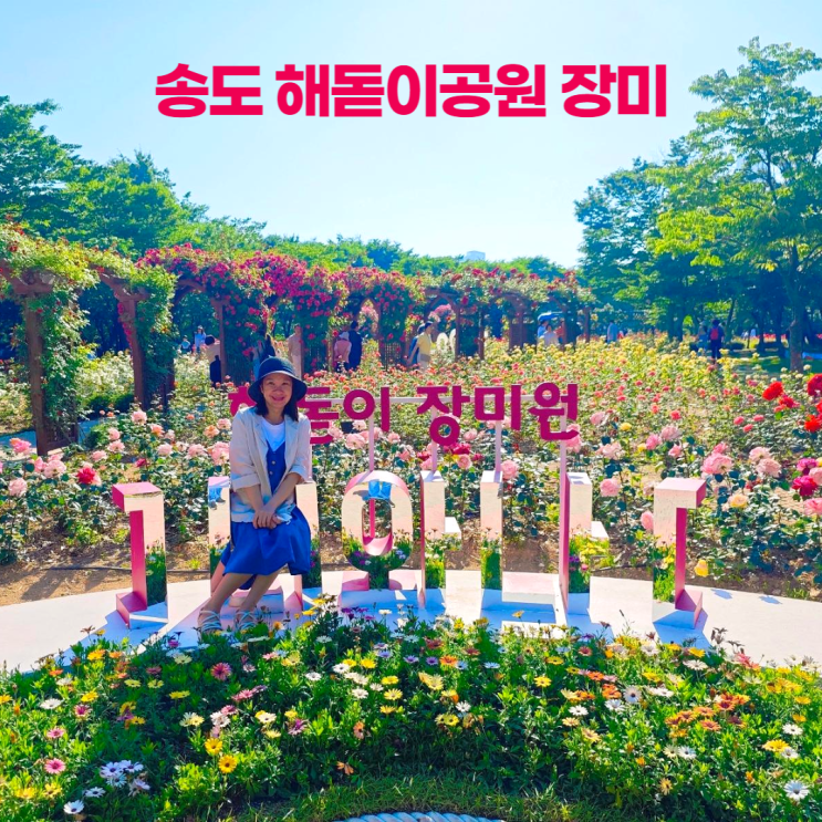 송도 해돋이공원 6월 장미원 포토존 조형물 장미 종류 송도 해돋이공원 6월 장미원 포토존 조형물 장미 종류