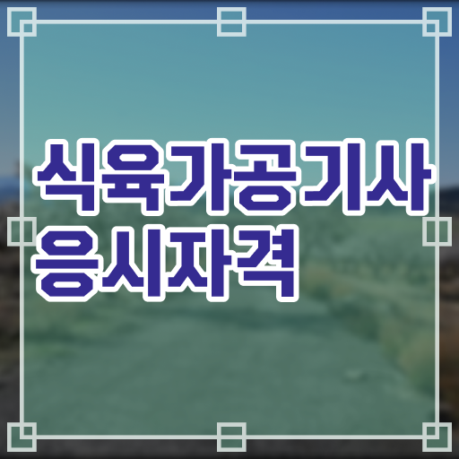  식육가공기사 교육 식육가공기사 시험응시조건 학점은행제로 15주 동안 끝낸 과정
