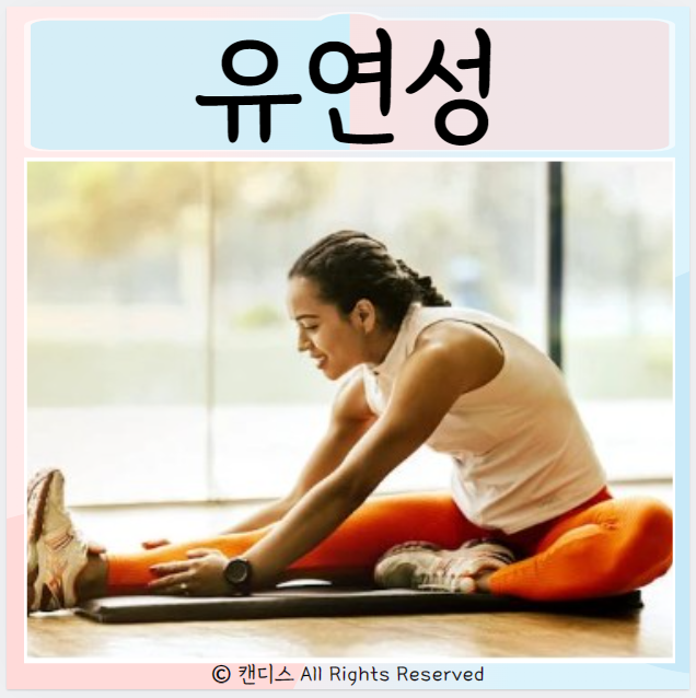  좌전굴 유연성 측정 체전굴 유연성 기르는 방법은?