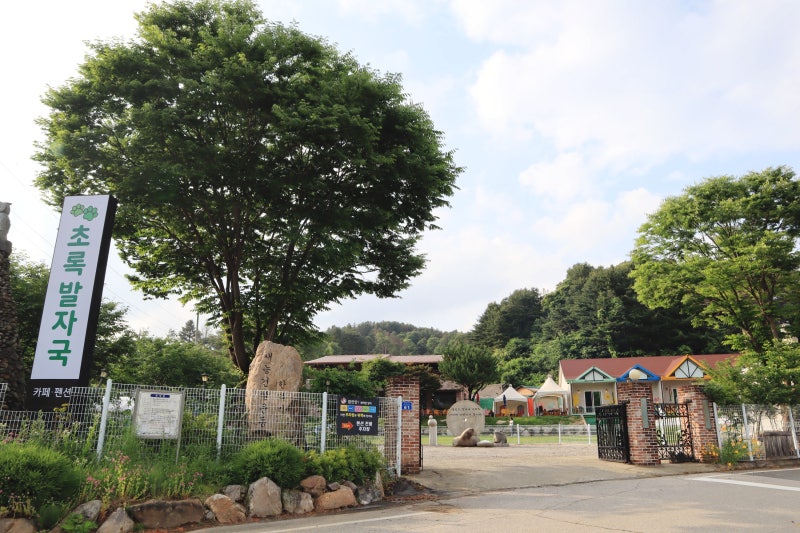 사진 7