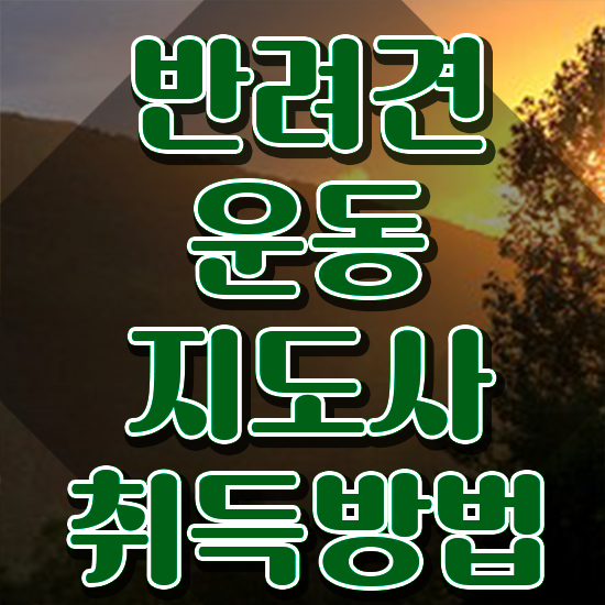  국비지원 자격증 추천 , 반려견운동지도사 온라인으로 빠르게 성공한 후기