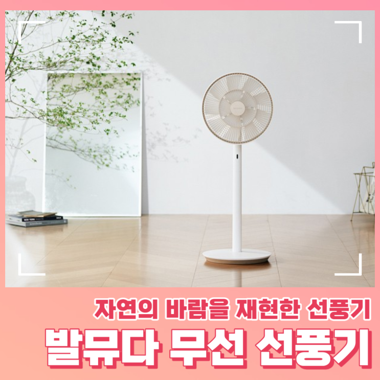  발뮤다 무선 선풍기 특별한 이유?