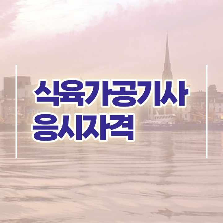  식육가공기사 필기 접수 식육가공기사 응시자격 독학으로 1학기에 완료한 후기