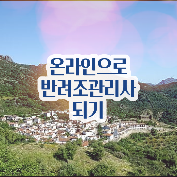  앵무새 분양가 , 반려조관리사 자격증 합격한 후기 정리