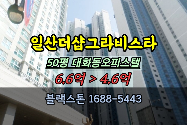  일산더샵그라비스타 매매 50평 킨텍스 오피스텔 경매 대화역 추천물건