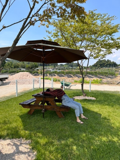 사진 10