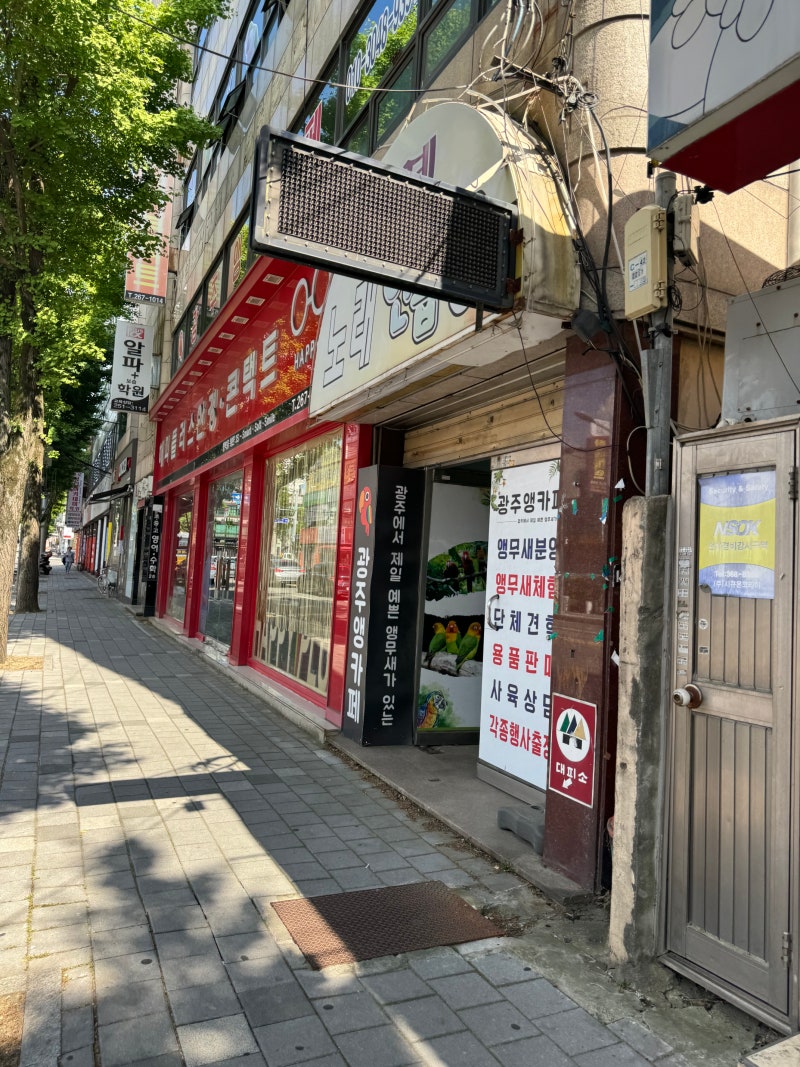 사진 4