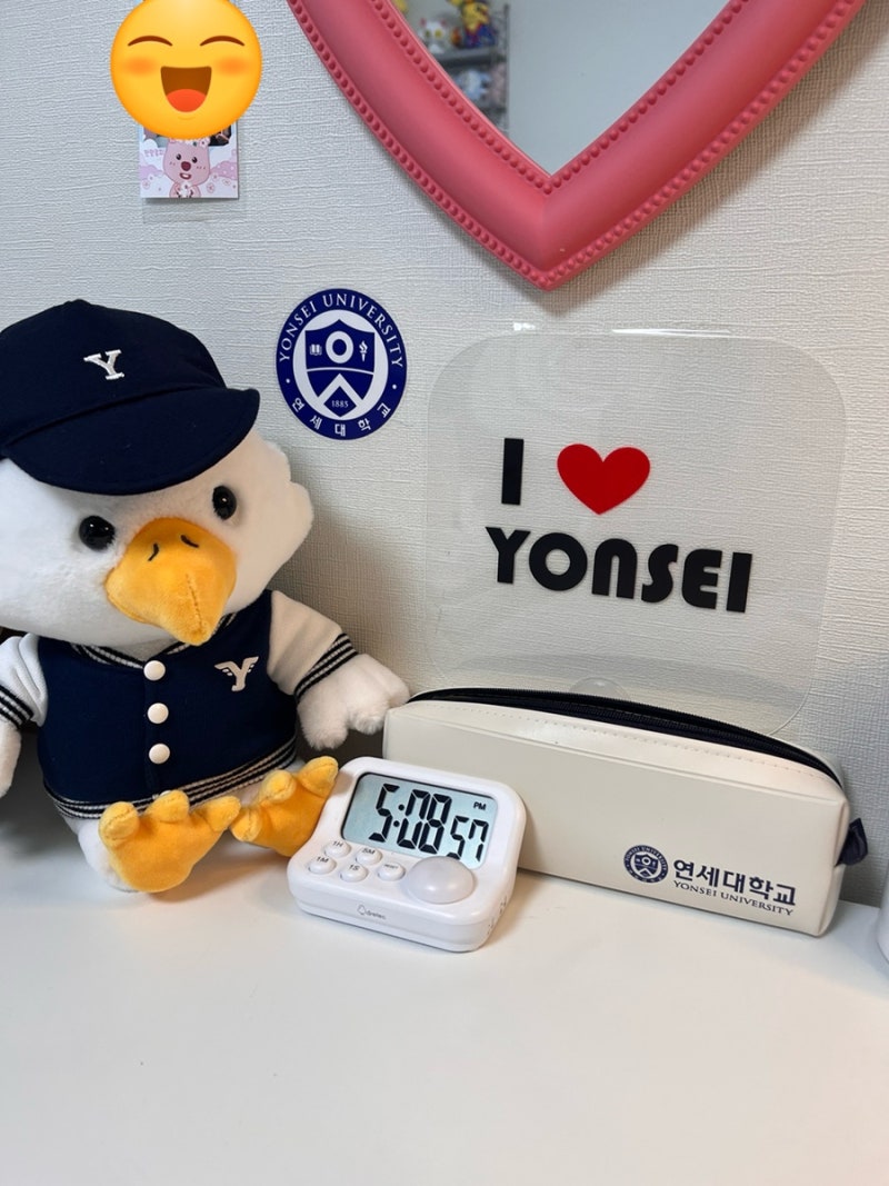 연세대학교 굿즈 / 연세대 / 이화여대탐방 / 신촌맛집 / 연세대학교 주차 / 연어초밥 : 네이버 블로그