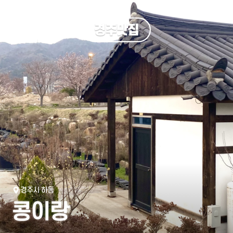  경주 불국사 근처 현지인 맛집 추천! 콩이랑 순두부찌개
