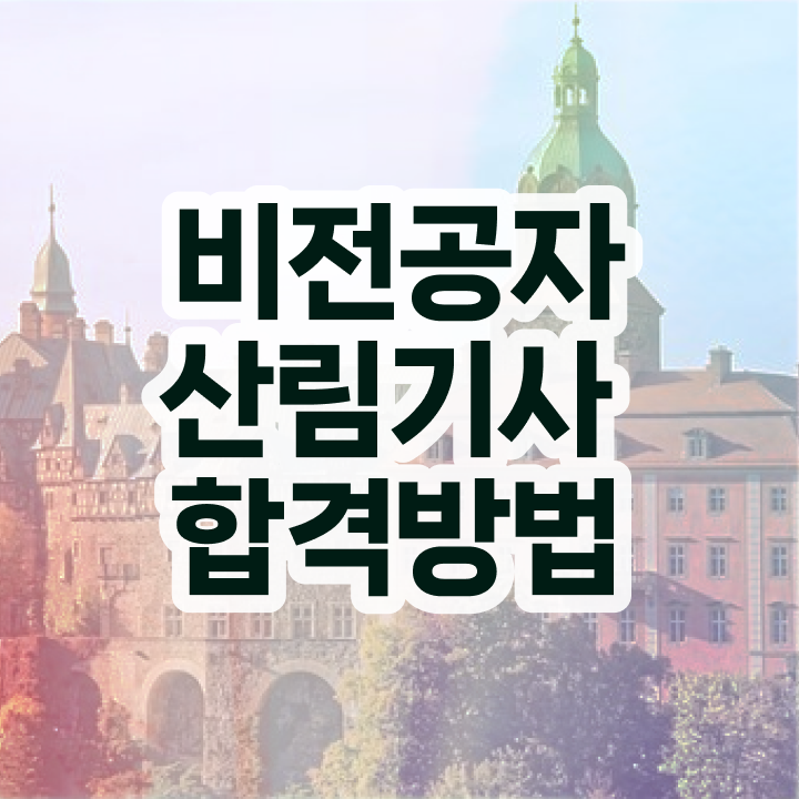  산림 기사필기 산림기사 시험응시조건 인강만 듣고 15주 동안 끝낸 비법