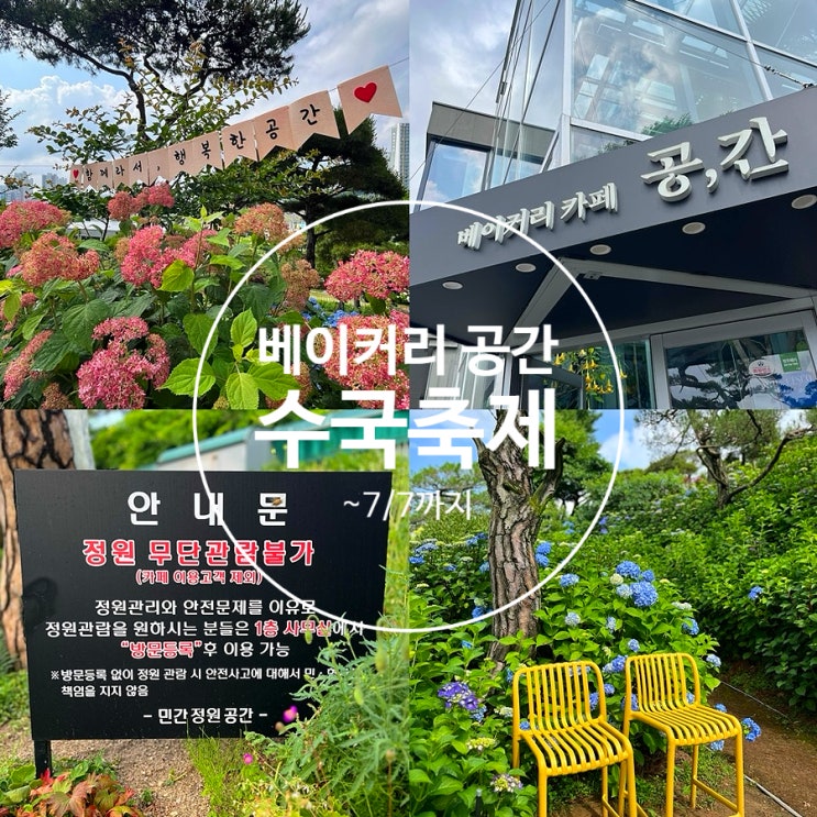  청주 베이커리 공간 수국축제~7/7 충북 민간정원 3호