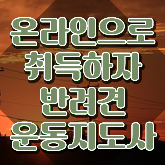  40대후반자격증 , 반려견운동지도사 관련학위 없어도 일하면서 손쉽게 준비한 과정