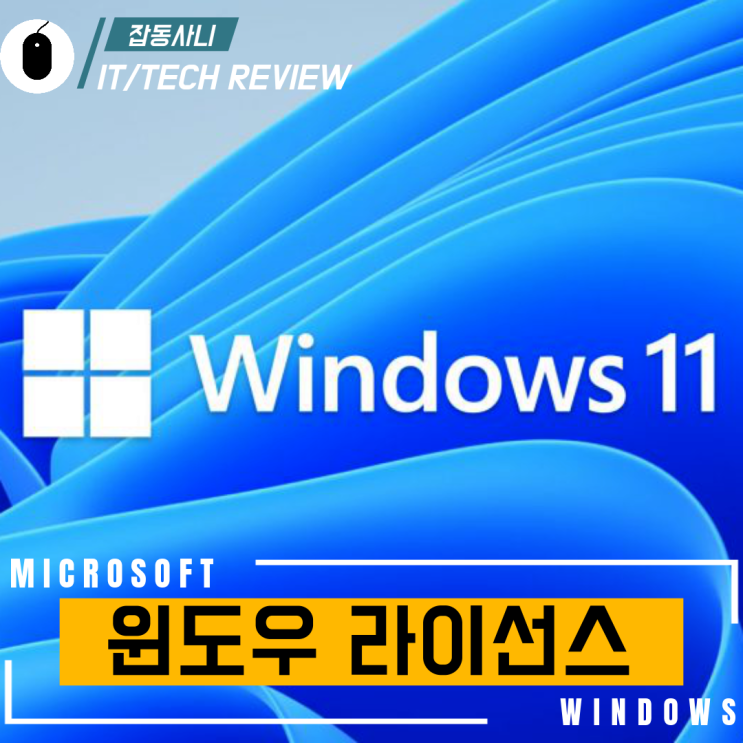  마이크로 소프트 윈도우를 저렴하게 구입할 수 있다? (윈도우 라이선스 종류 확인하는 방법)