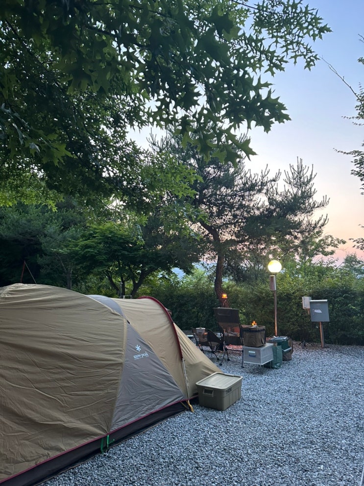  용인 단풍숲캠핑장 악어 사이트 후기 (가족캠핑장 추천)