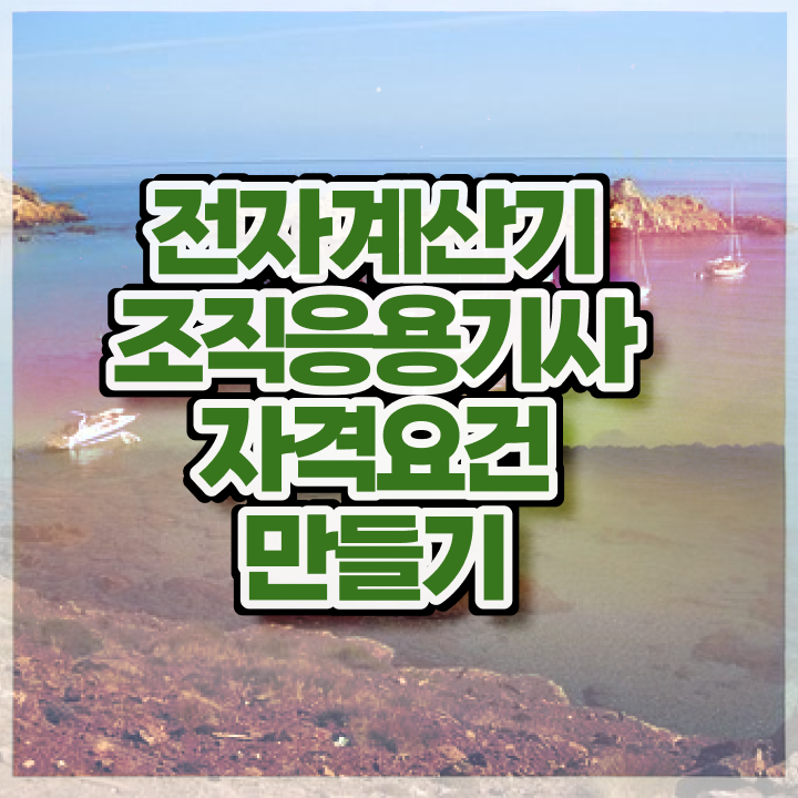 전자계산기조직응용기사 응시조건 온라인 과정으로 4개월 만에 성공한 비법
