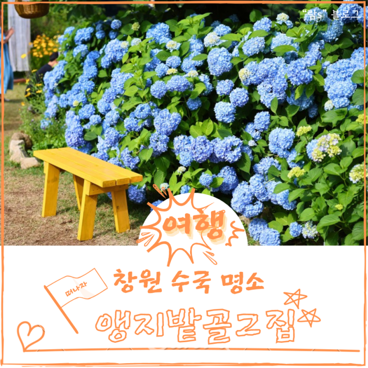  창원 마산앵지밭골 그집 수국정원이 펼쳐져 있는 아름답고 예쁜 장소