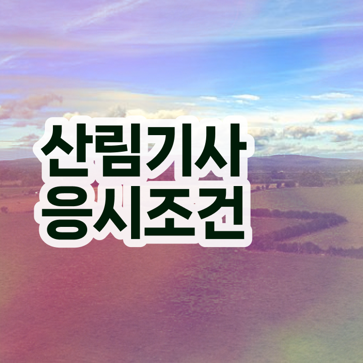  산림기사 필답 산림기사 응시조건 온라인 수업으로 쉽고 빠르게 준비한 팁