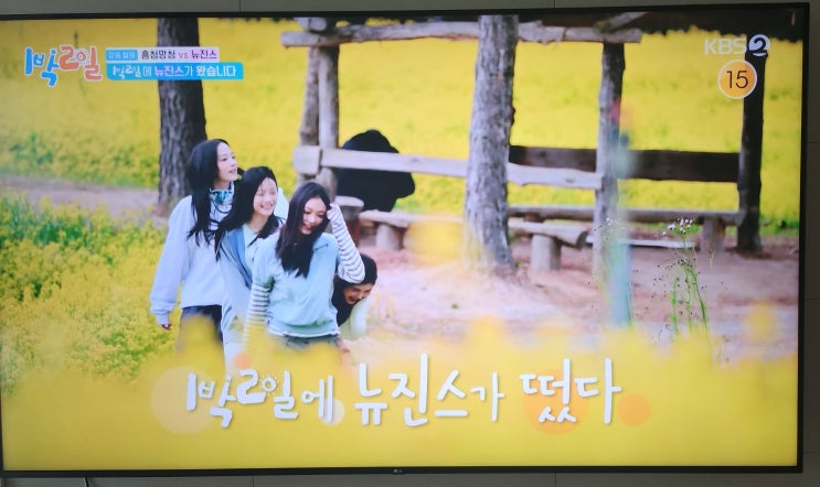 1박 2일 <b>뉴진스</b> 출연 <b>해린</b> 하니 민지 다니엘 230회 대박