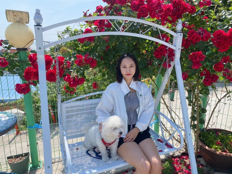  [인천 강화] 장구너머펜션/석모도 애견동반펜션