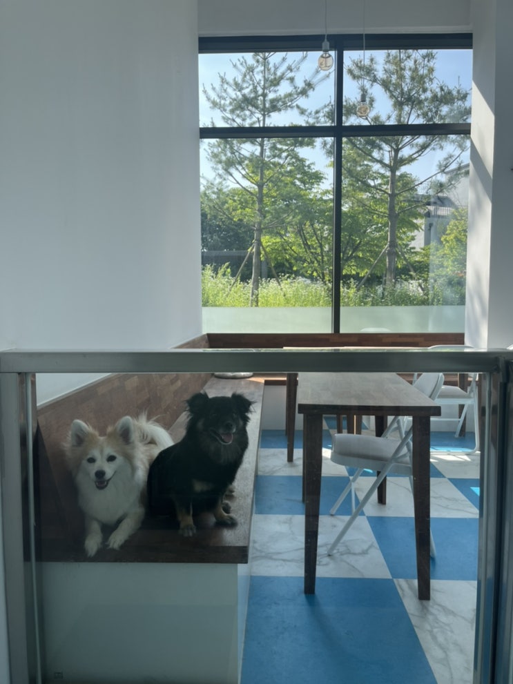 [인천/영종도]피어나_영종도 하늘도시 디저트맛집 애견동반카페