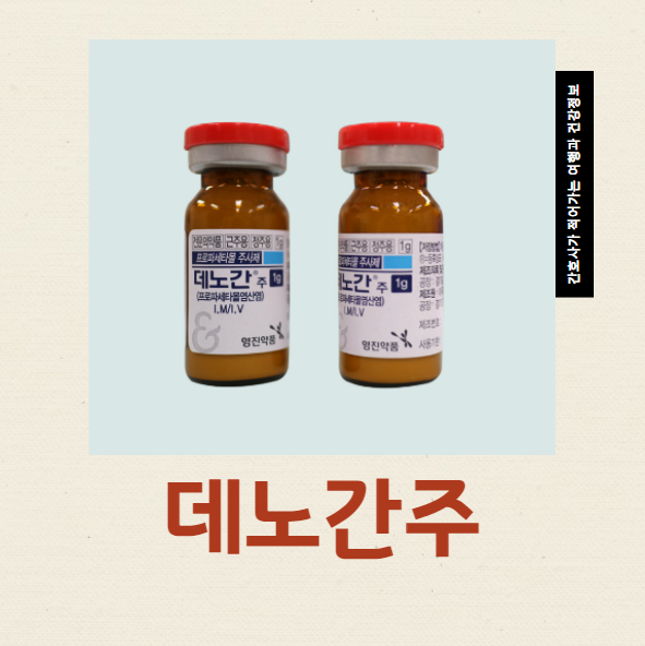  데노간주 해열진통제 효과와 부작용 사용방법