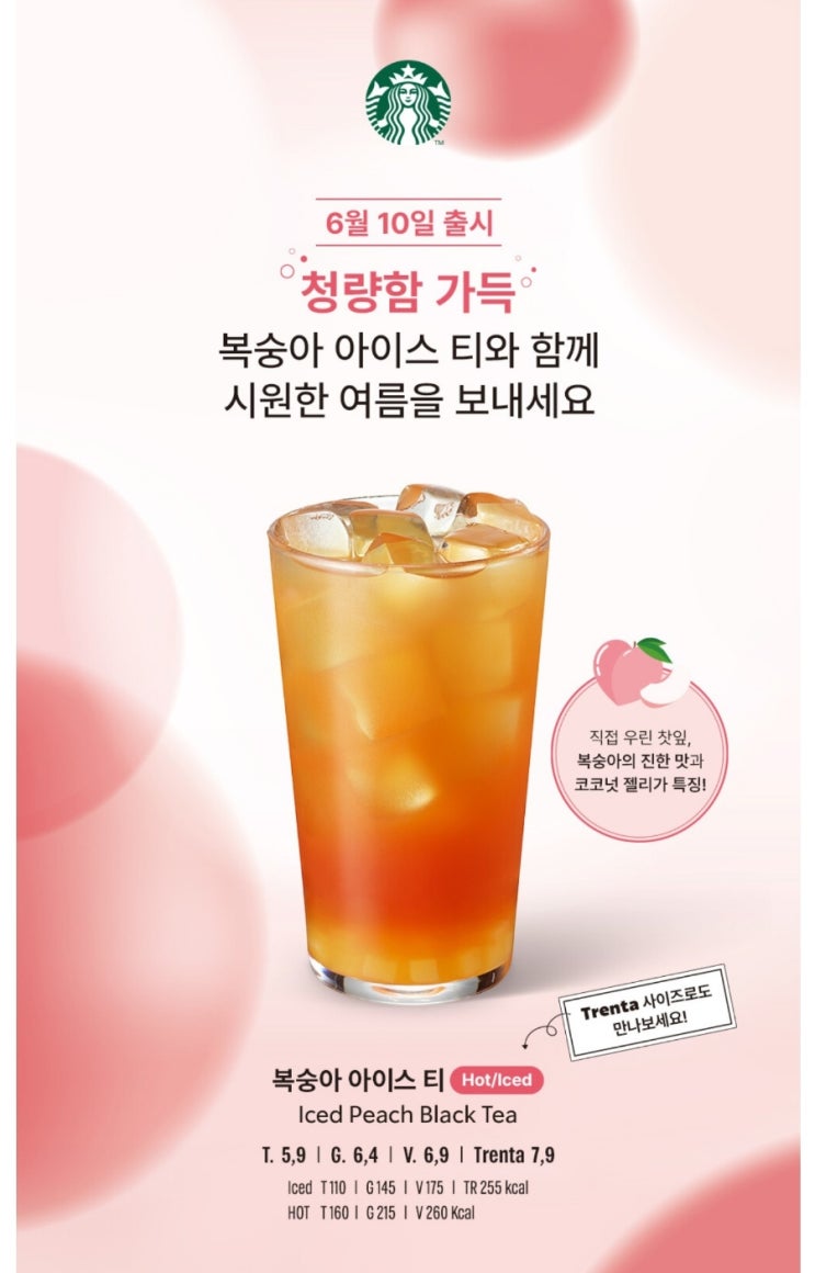  스타벅스 신메뉴 복숭아 아이스티 6월 10일 출시