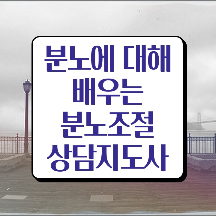 40대주부자격증 , 분노조절상담지도사 고졸도 온라인 과정 100%로 간편하게 준비하는 과정