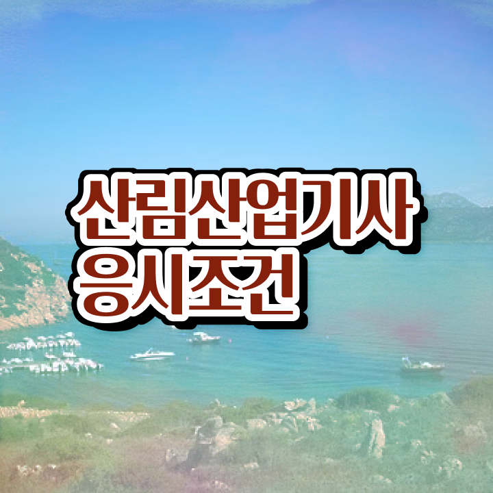  산림산업기사과목 산림산업기사 응시조건 인강으로 4달 안에 끝낸 과정