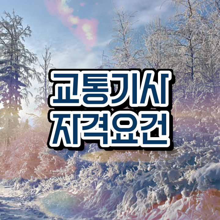  교통기사취업 교통기사 응시자격 온라인으로 단기간에 완료한 비법