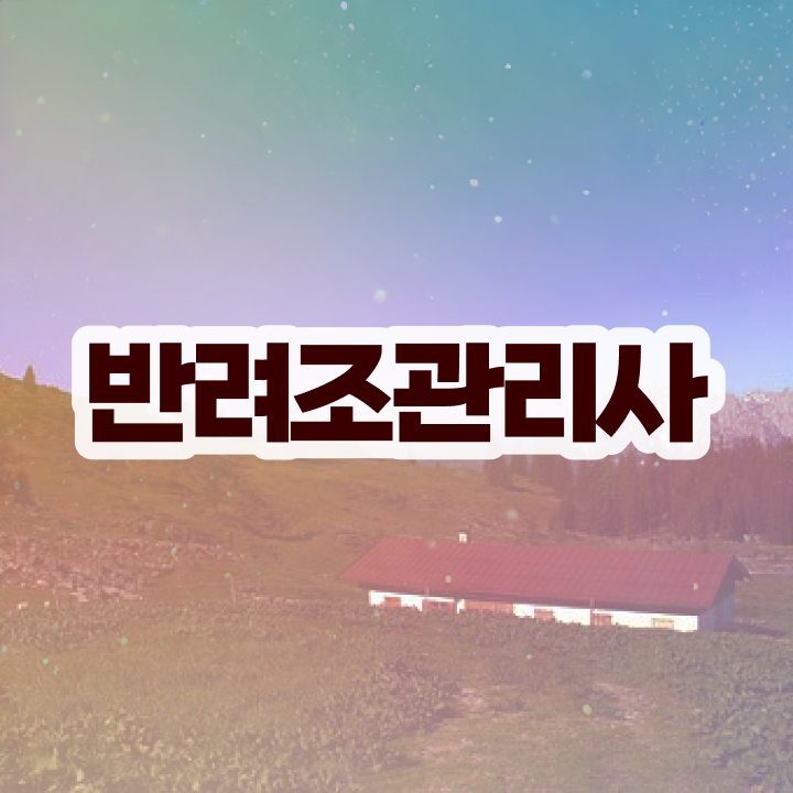  유리앵무분양 , 반려조관리사 자격증 직장인도 쉽게 합격한 전략 확인