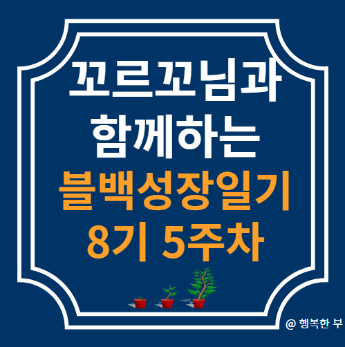  꼬르꼬님과 함께하는 블백성장일기 8기 5주차(자녀 독립시키기)
