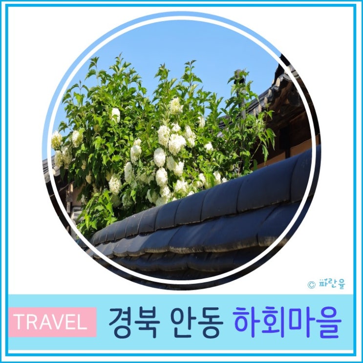  안동 가볼만한 곳 하회마을 주차장 입장료 한옥마을 대구근교 주말 나들이