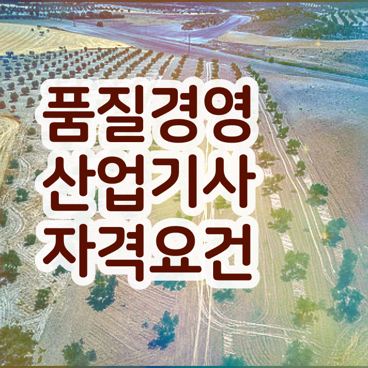  품질경영산업기사 독학 품질경영산업기사 취득자격 온라인으로 15주 동안 준비한 전략