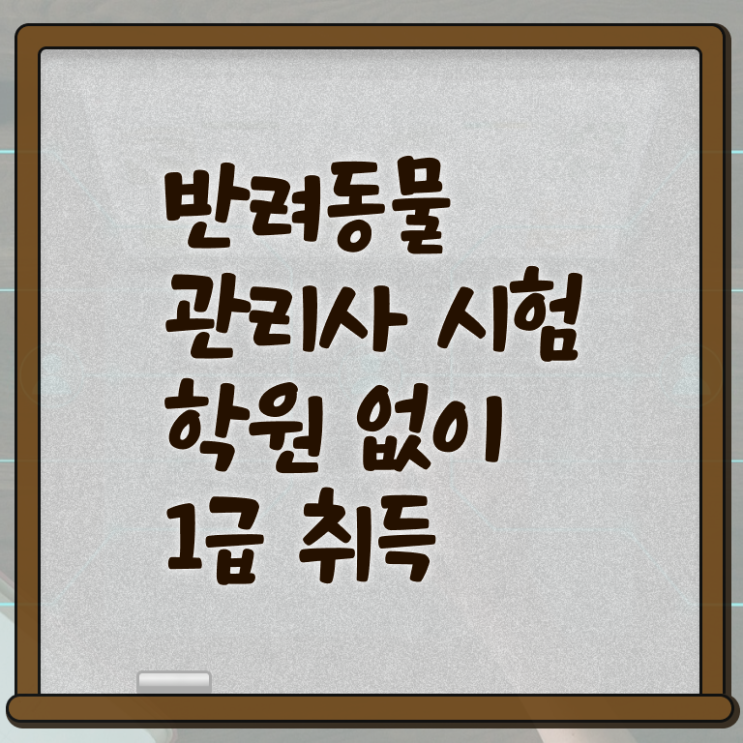  반려동물학과4년제 , 반려동물관리사 자격증 2주 만에 취득한 정보 , 취업 전망
