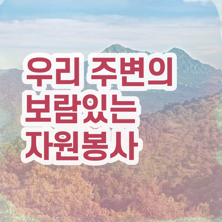  자원봉사지도사 학점은행제 , 자원봉사지도사 자격증 비용없이 온라인으로 취득했던 후기 및 전망