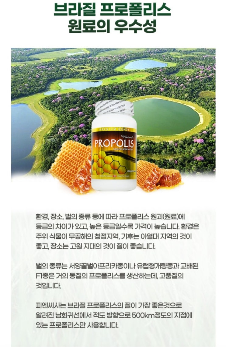  프로폴리스의 플라보노이드(Flavonoid)