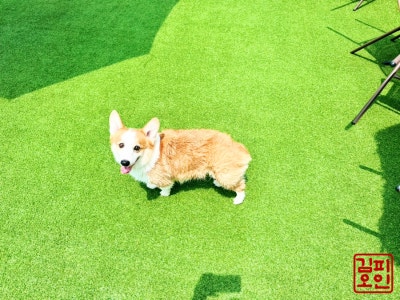 사진 6