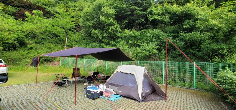 음성 백야자연휴양림 캠핑장(야영장) 명당 추천 및 수영장, 예약방법 안내