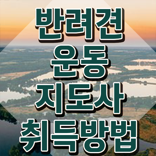  남자 자격증 추천 , 반려견운동지도사 온라인으로 비전공 직장인도 간단하게 끝낼수 있었던 방법
