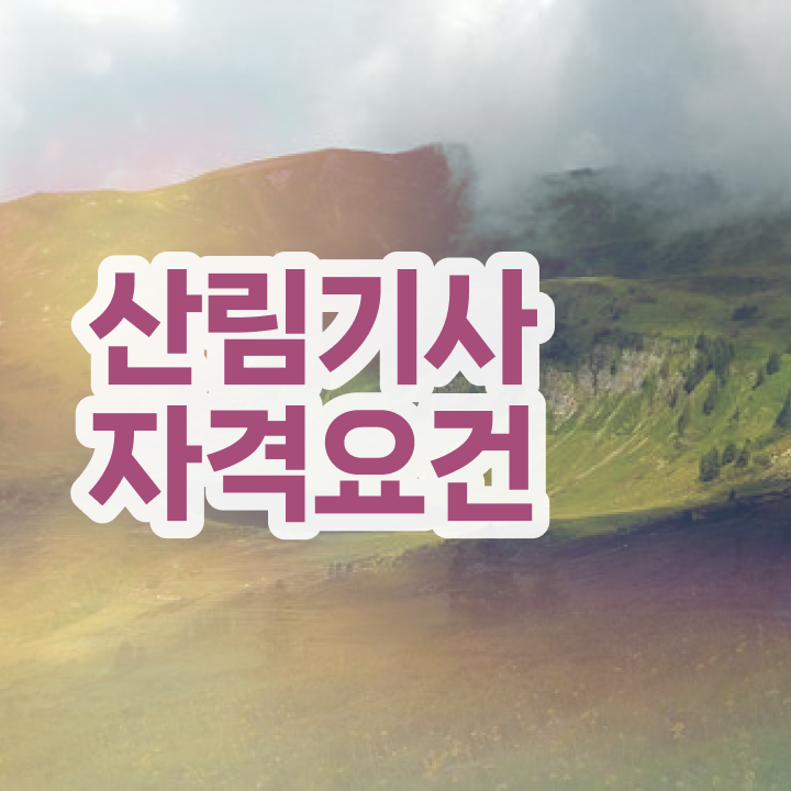  2024 산림기사 산림기사 응시자격 온라인으로 간단하게 끝낸 팁