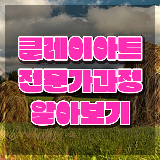  2급클레이아트전문가교육과정 , 클레이아트전문가 자격증 온라인으로 취득한 과정 및 이후 전망