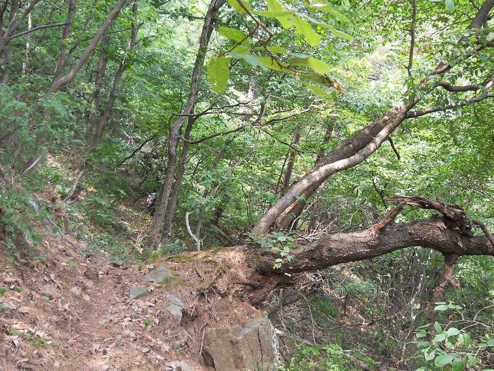 엄정산 사진 8