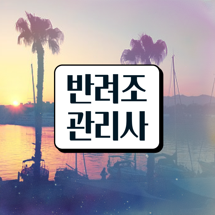  말하는 앵무새 분양 , 반려조관리사 자격증 취득한 방법 정리해봤어요
