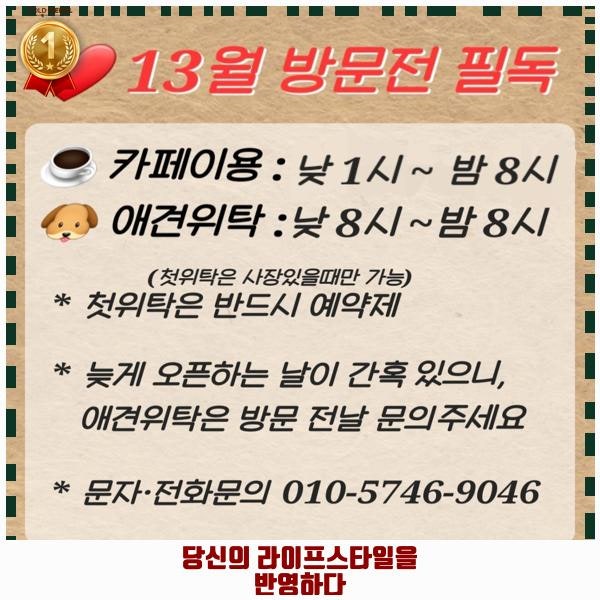 사진 2