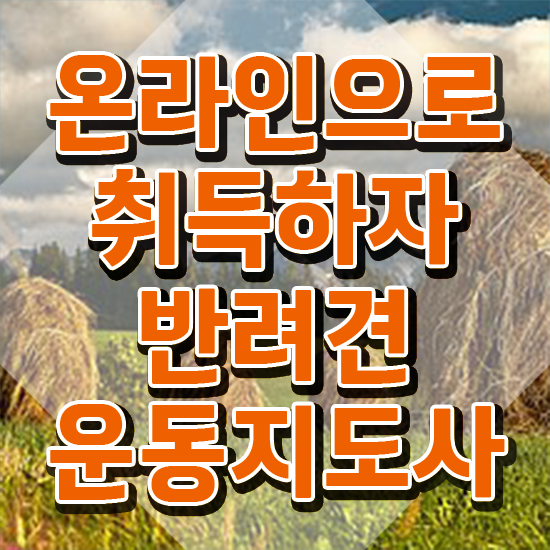  40대후반자격증 , 반려견운동지도사 편하게 완료한 비법