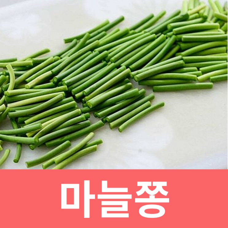  마늘쫑 마늘종 효능 부작용 고르는 법