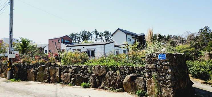  #제주부동산/제주 단독주택 매매/넓은잔디마당과 조경관리잘된 제주 애월읍 광령리 전원주택/바다뷰#
