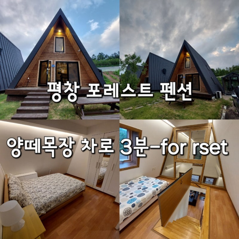 평창 포레스트펜션 양떼목장 근처 대관령 예쁜 숙소