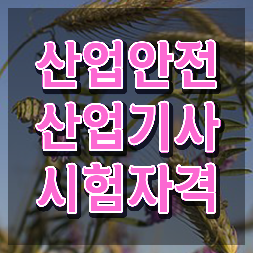  산업안전산업기사 실기 일정 산업안전산업기사 시험자격 온라인 과정으로 5달만에 준비한 후기