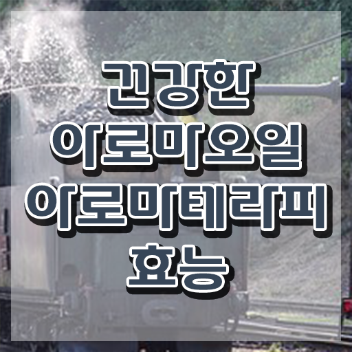  아로마뷰티diy지도사 시험시간 , 아로마뷰티DIY지도사 자격증 응시자격 없이 시험준비 , 향후 전망